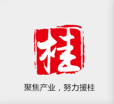 聚焦产业🥰，努力援桂